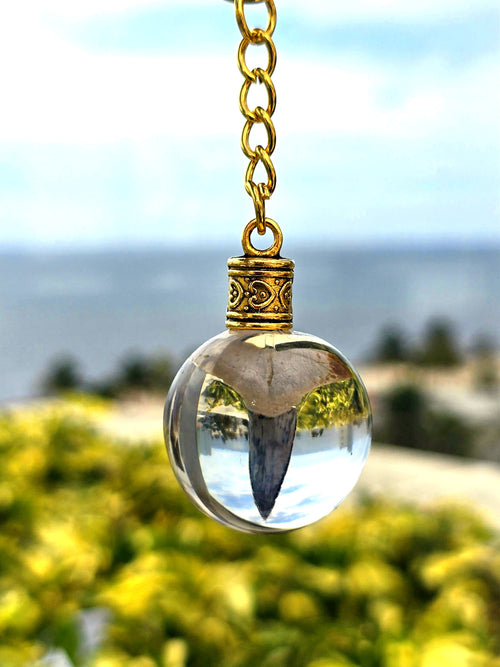 Bone Valley fossilized mako shark tooth suspended in a clear resin orb keychain with an ocean backdrop