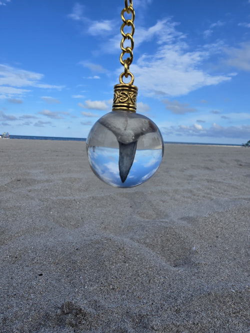 Bone Valley fossil mako shark tooth resin orb keychain against a beach and blue sky