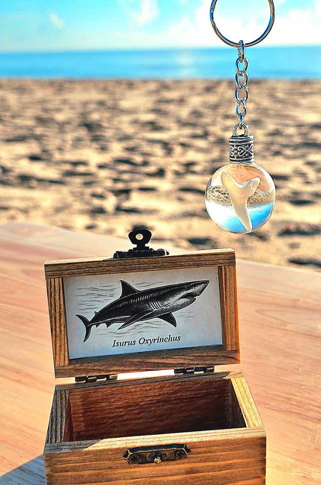 Mako shark tooth resin keychain above an open wooden treasure chest box with a mako shark illustration card on the beach
