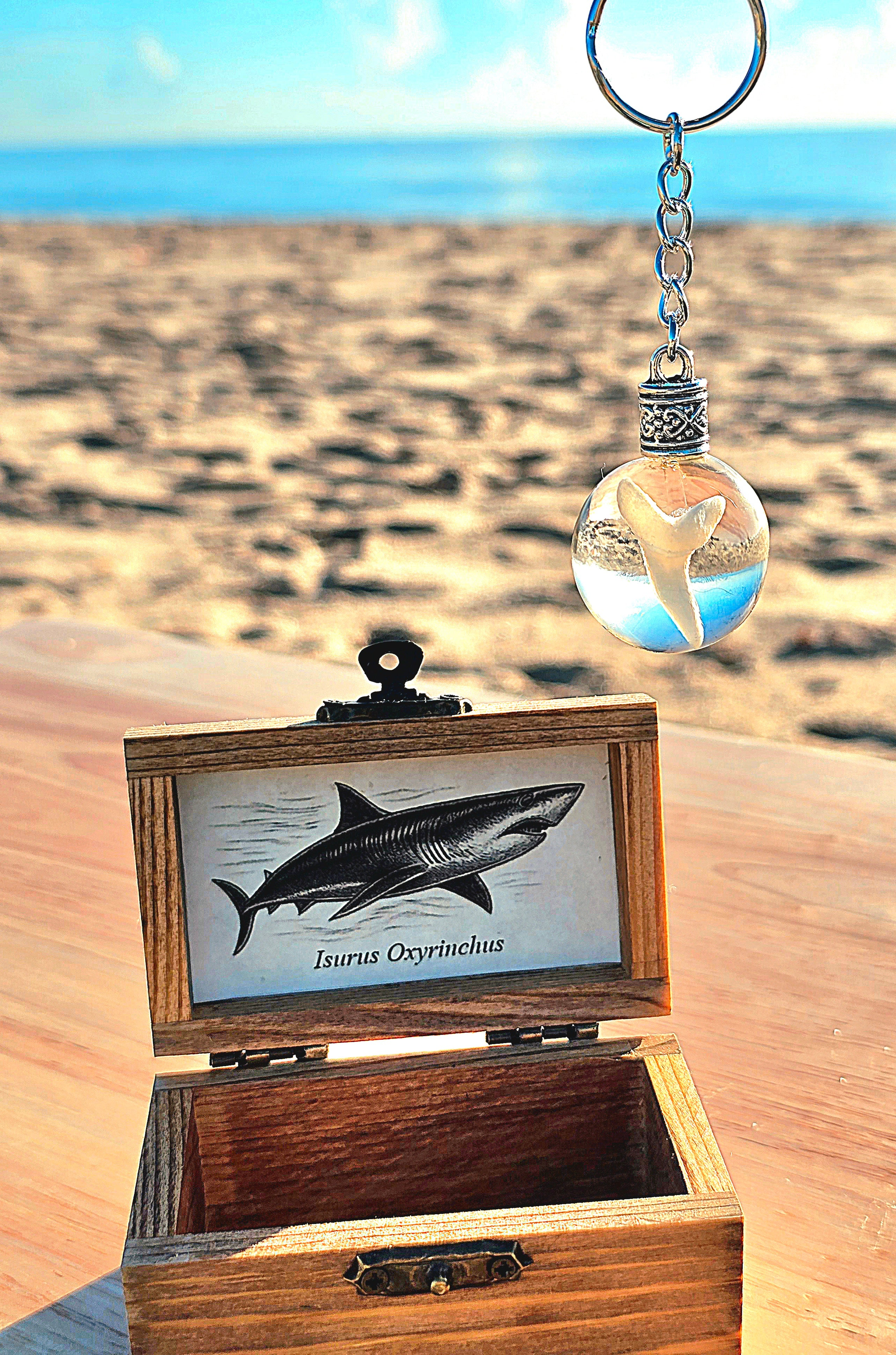 Mako shark tooth resin keychain above an open wooden treasure chest box with a mako shark illustration card on the beach