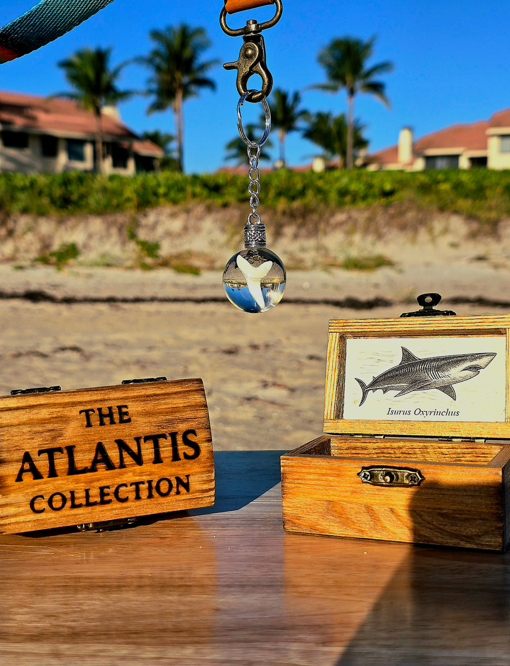 Mako shark tooth keychain dangling above open and engraved Atlantis Collection wooden boxes with palms and beach behind
