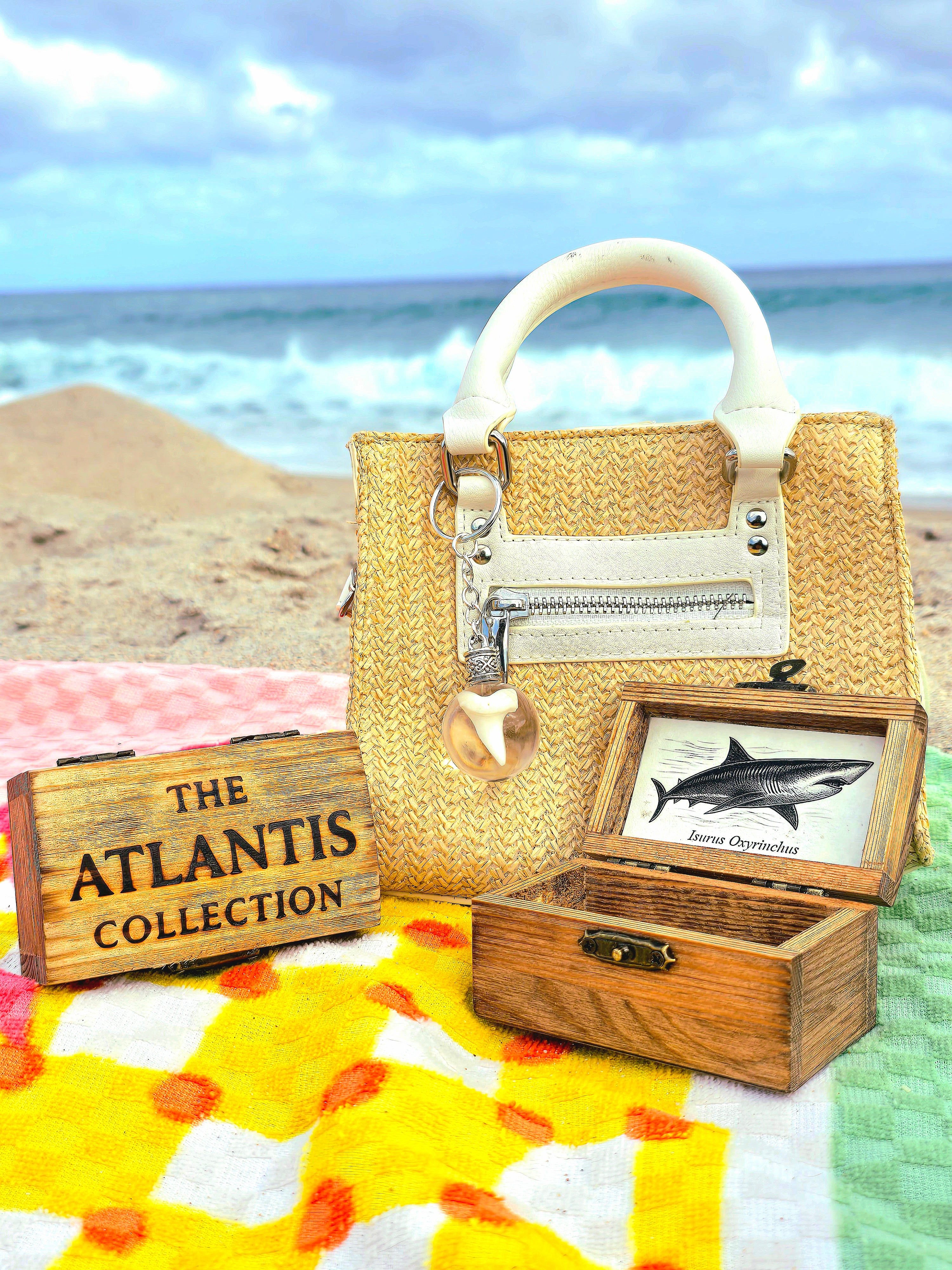Mako shark tooth suspended in a clear resin sphere keychain held up against a sunny palm-lined beach
