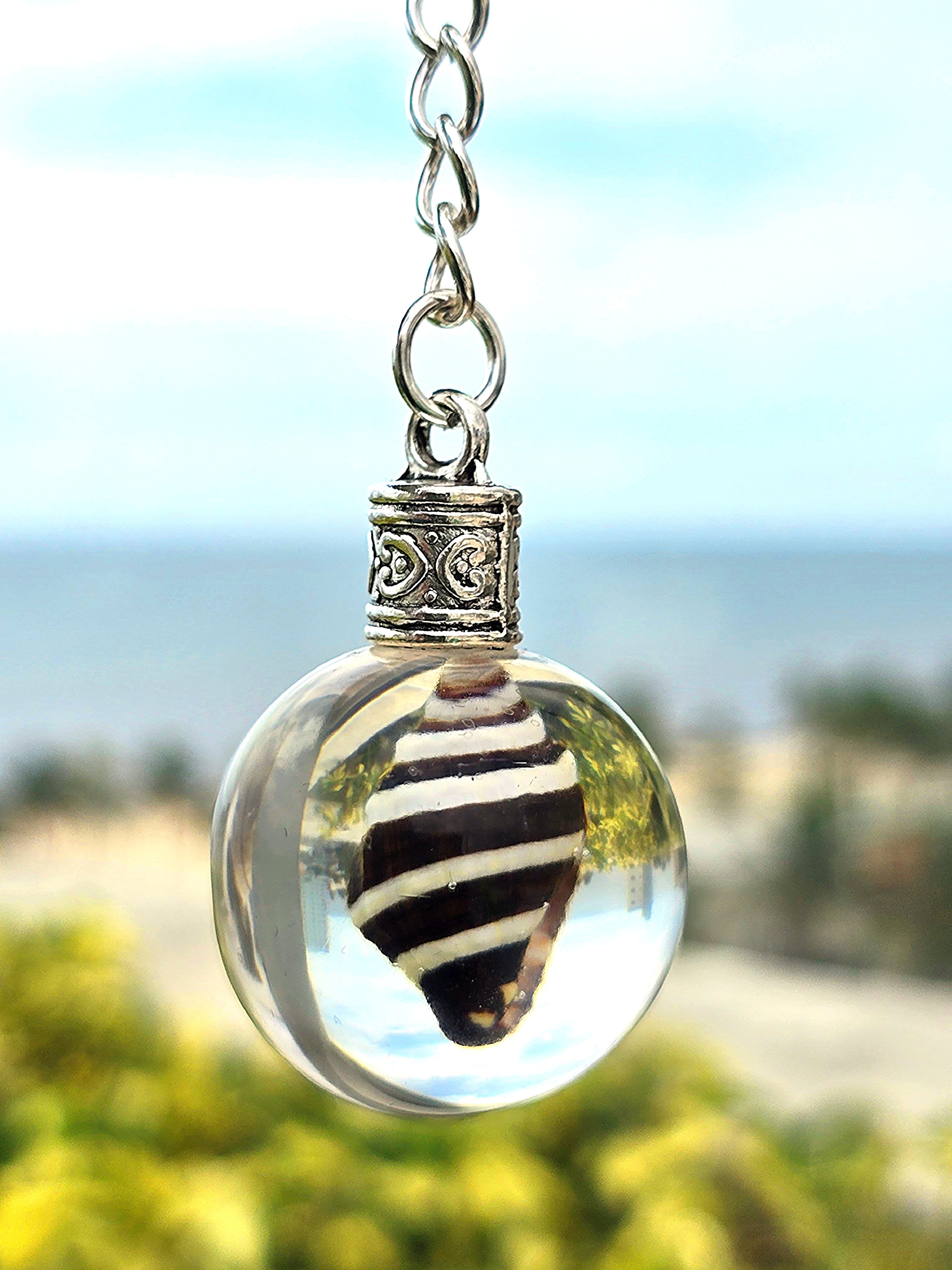 Zebra Cone Shell suspended in a clear resin orb keychain with an ocean backdrop
