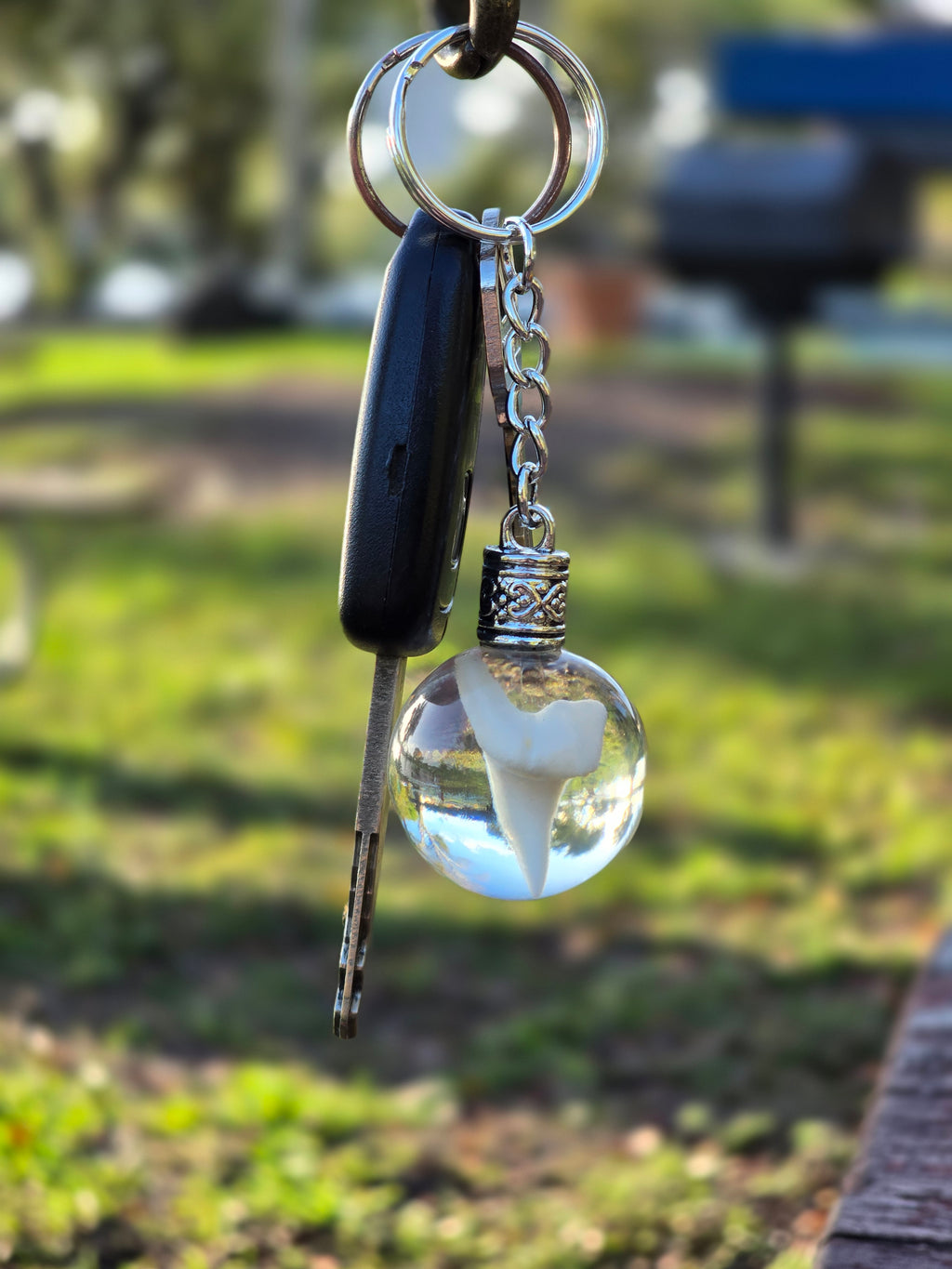 Mako shark tooth suspended in a resin sphere keychain held up against a sandy beach in golden light