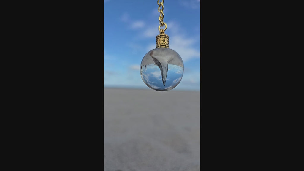Bone Valley fossilized mako shark tooth resin orb keychain