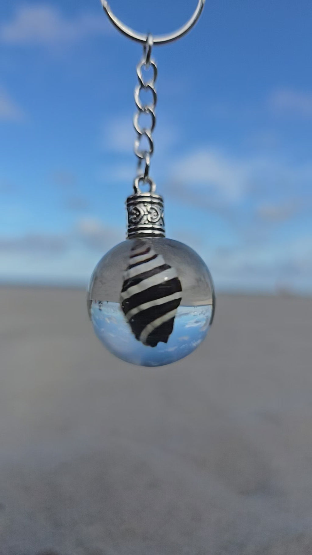 Zebra Cone Shell resin orb keychain